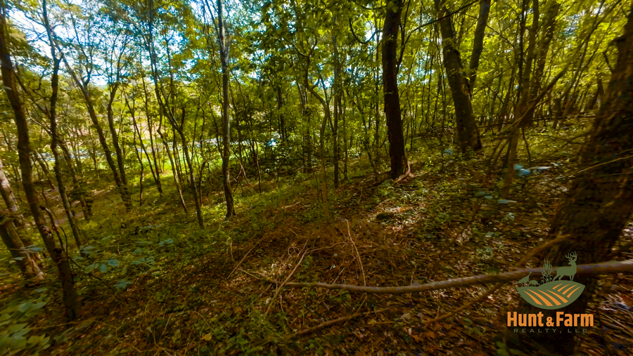 Still 2025-10-30 092500_2.4.1.png